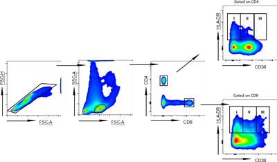 Dynamic changes of the proportion of HLA-DR and CD38 coexpression subsets on T lymphocytes during IFN-based chronic hepatitis B treatment